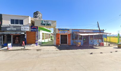 Negocio Polarizados Accesorios