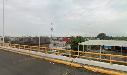 Negocio Polarizados Adao