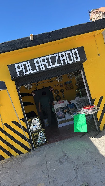 Negocio Polarizados Alfa