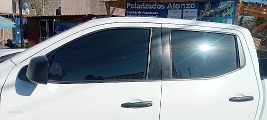Negocio Polarizados Alonso