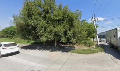 Negocio Polarizados Apodaca