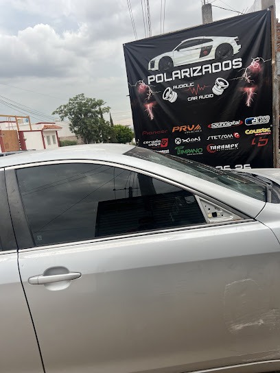 Negocio Polarizados Audiolic Car Audio