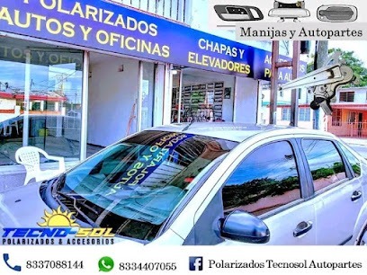 Negocio Polarizados & Autopartes Tecnosol