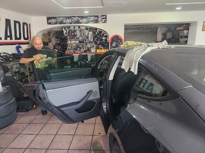 Polarizados Autosin
