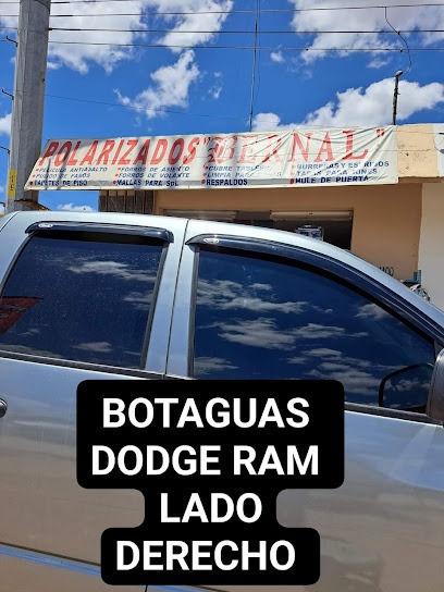 Negocio Polarizados Bernal