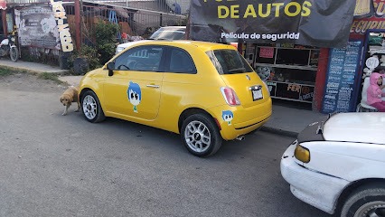 Negocio Polarizados Beto