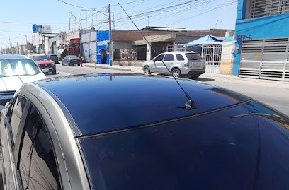 Negocio Polarizados Boss Jr