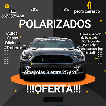 Negocio Polarizados Carrasco