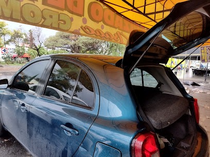 Negocio Polarizados De Autos
