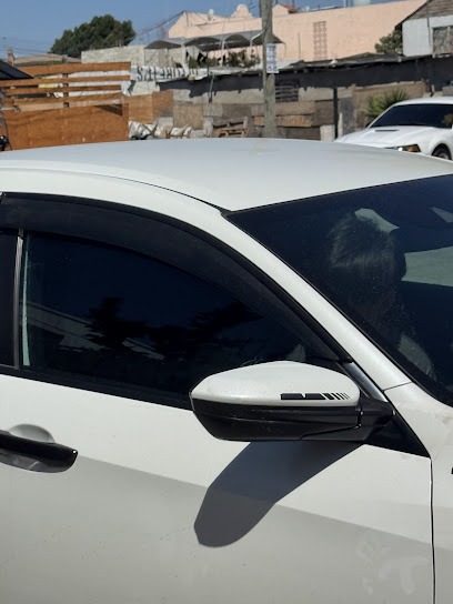 Polarizados De Autos