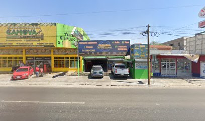 Polarizados De Cristales Calexico