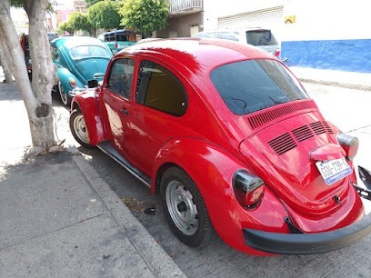 Polarizados De León