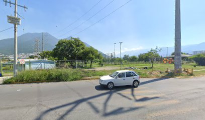 Polarizados