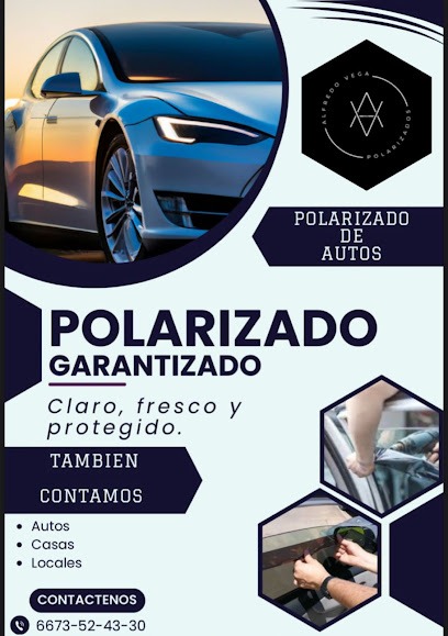 Negocio Polarizados El Fly