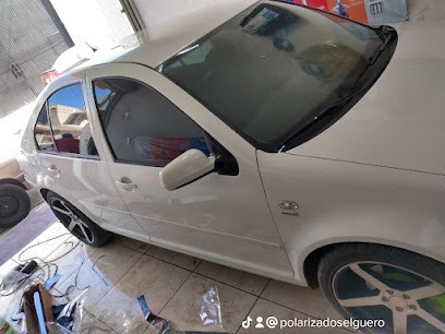Negocio Polarizados El Güero