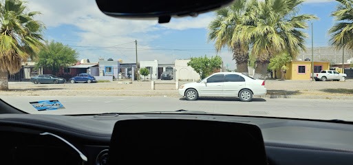 Negocio Polarizados El Pelón