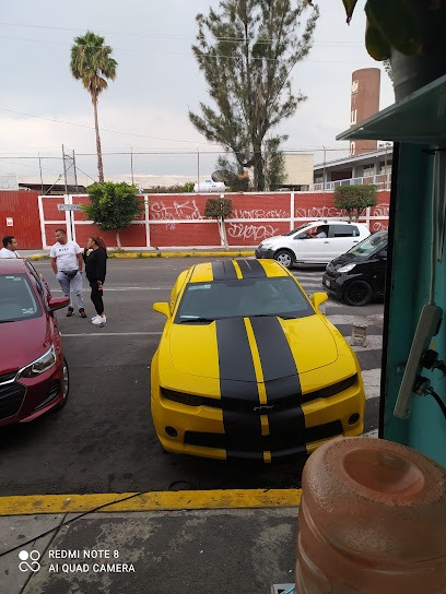 Negocio Polarizados El Tino