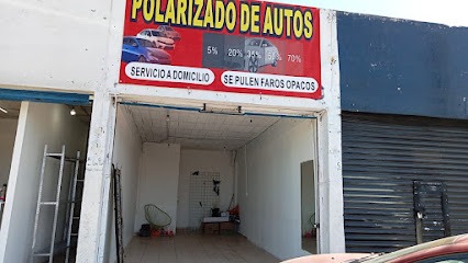 Polarizados Fg