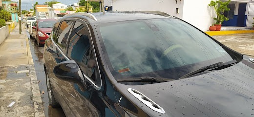 Negocio Polarizados Gpa