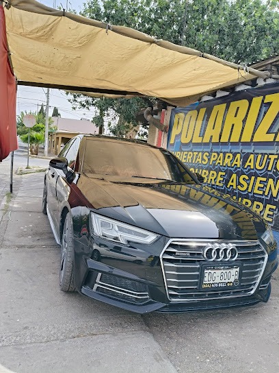 Polarizados Hernández