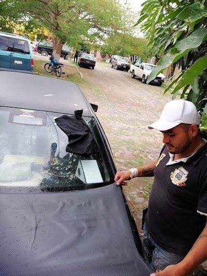 Negocio Polarizados Ibarra