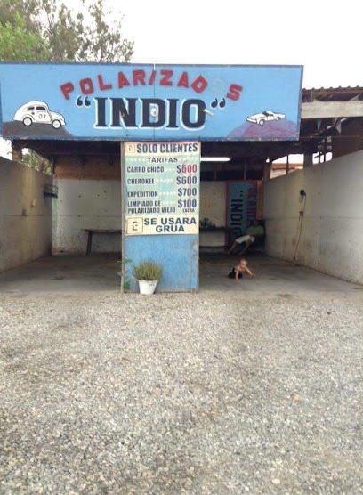 Negocio Polarizados Indio