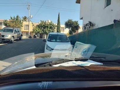 Negocio Polarizados Javiercito Automotriz Residencial