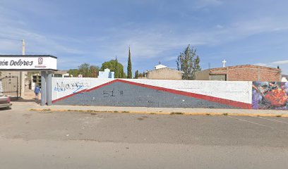 Negocio Polarizados Junior