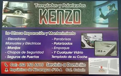 Negocio Polarizados Kenzo
