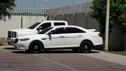 Polarizados La 20