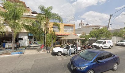 Polarizado's Male