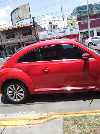 Negocio Polarizados Martin