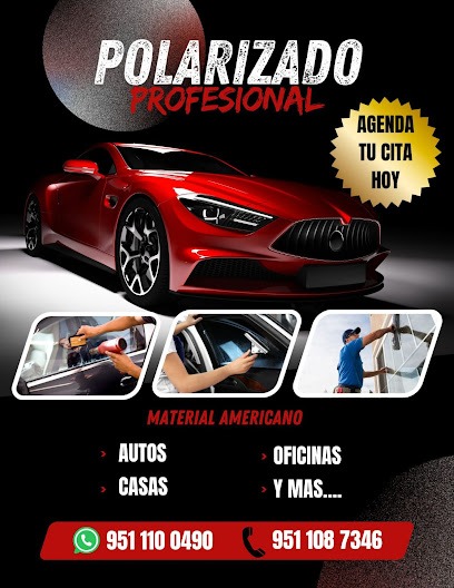 Negocio Polarizados Nicks