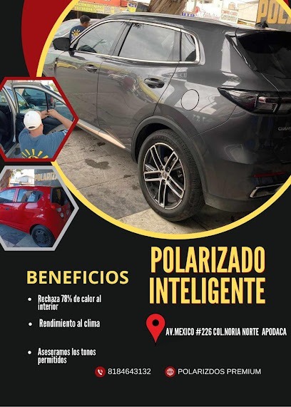 Negocio Polarizados Premium