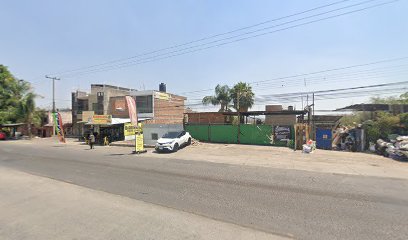 Negocio Polarizados Puente Grande