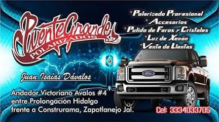 Negocio Polarizados Puente Grande