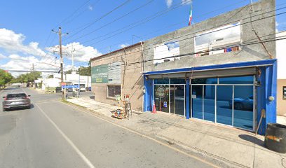 Negocio Polarizados Reynosa