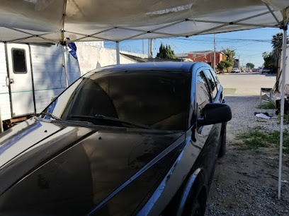 Negocio Polarizados Rosarito