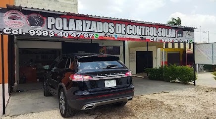 Polarizados Security Glass