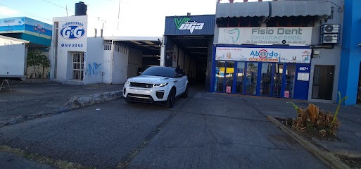 Negocio Polarizados Vega