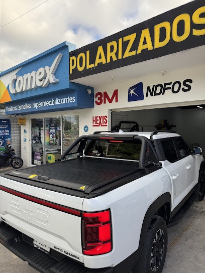 Negocio Polarizados & Wrap “Caribe Gang”