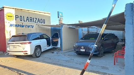 Negocio Polarizados Ximello