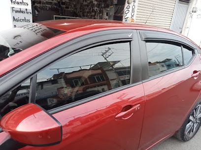 Negocio Polarizados Y Accesorios Carrera