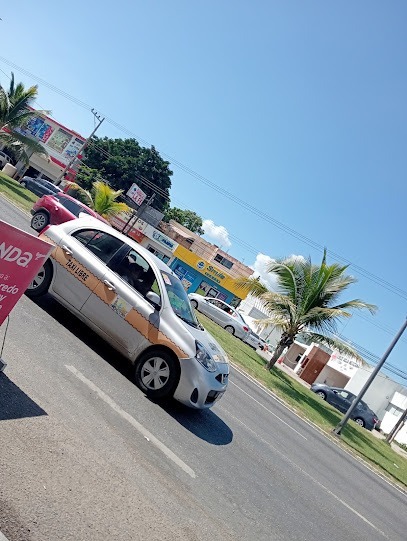 Negocio Polarizados Y Accesorios Los Ramirez