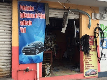 Negocio Polarizados Y Accesorios Nissi