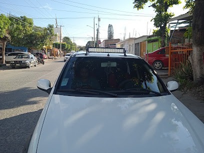 Negocio Polarizados Y Accesorios Teran