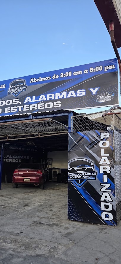 Polarizados Y Auto Alarmas