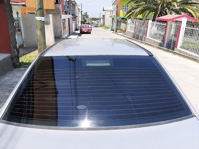 Negocio Polarizados Y Auto-Detallado 