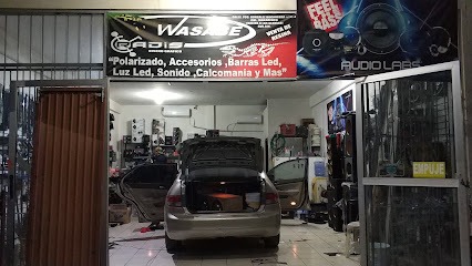 Negocio Polarizados Y Car Audio Wasabe