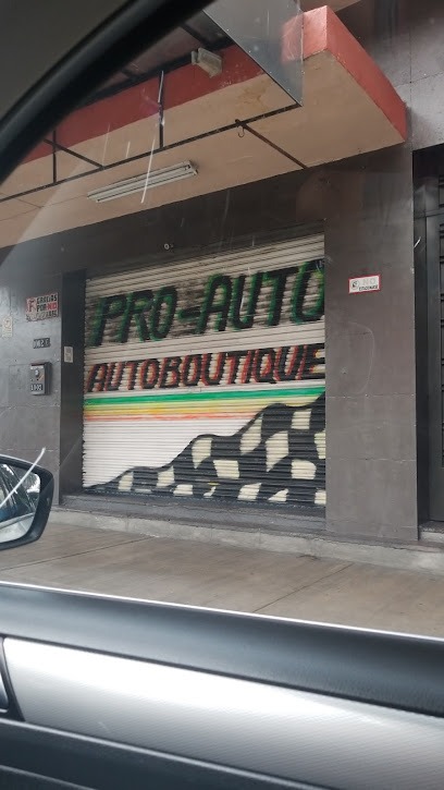 Negocio Pro-Auto Accesorios